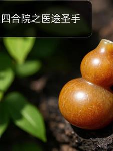 四合院之医途圣手