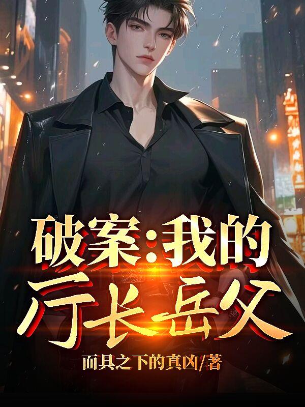 破案：我的厅长岳父