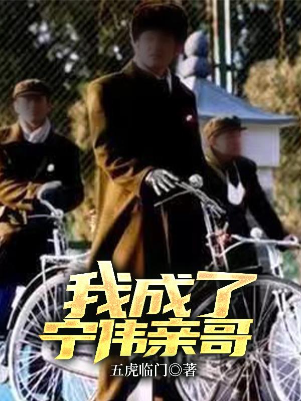 重生四九城大院儿顽主
