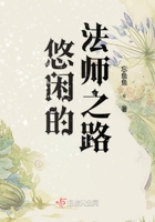 悠闲的法师之路
