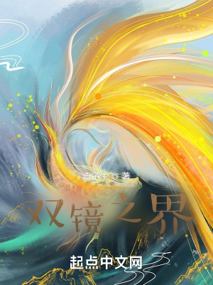 双镜之界