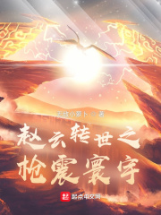 赵云转世之枪震寰宇